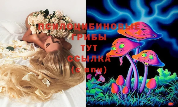гидропоника Алзамай