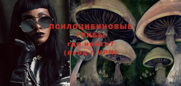 твердый Балахна