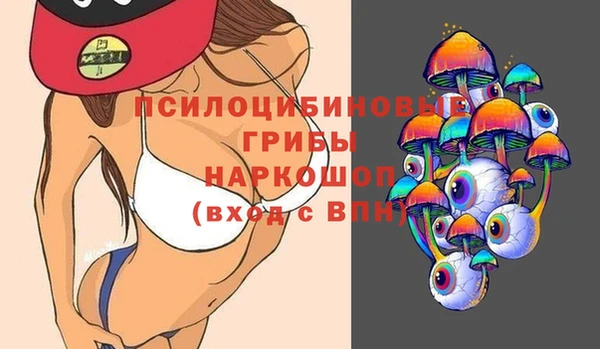 твердый Балахна
